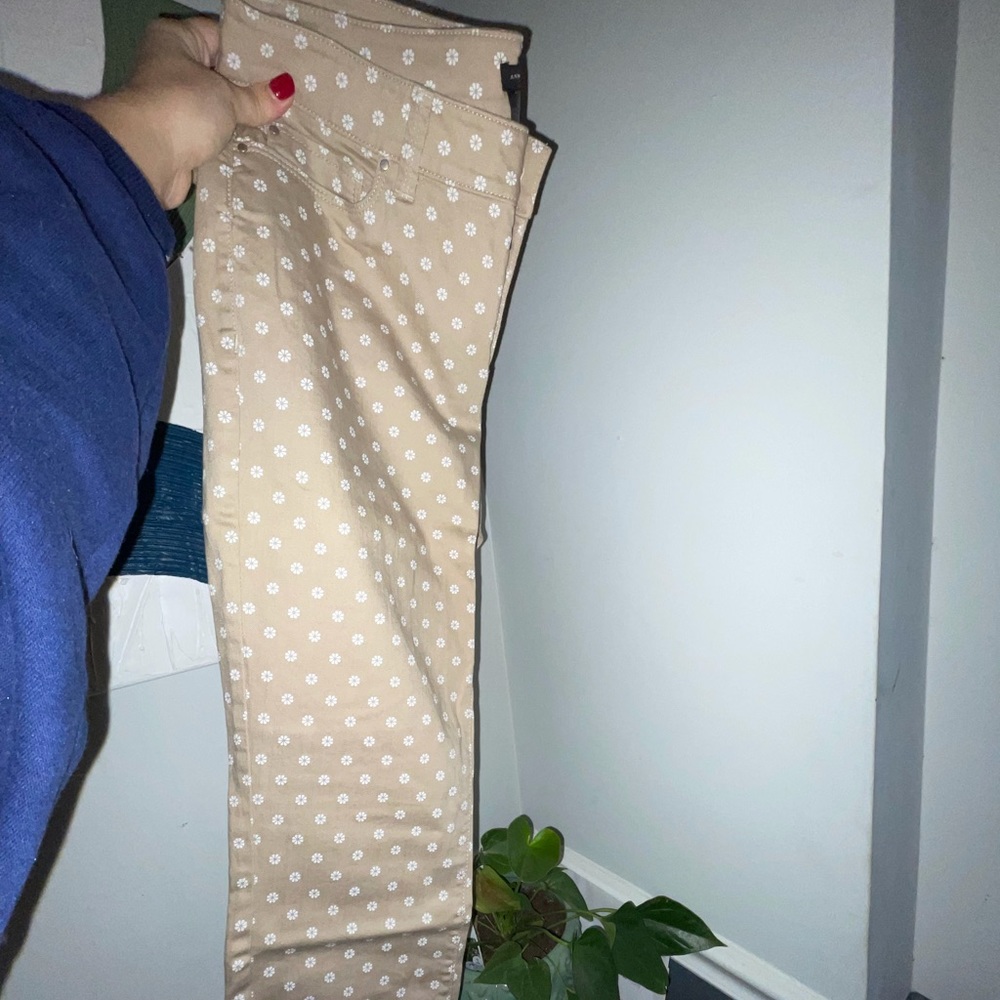 Ann Taylor Pants
